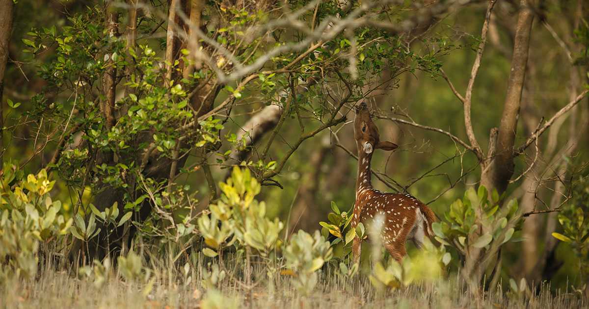 Best Places to Explore Near Murti